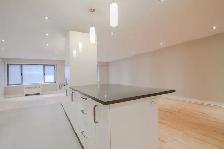 Renovated 2 bedroom apartment near McGill - ID 1719 - Photo 4