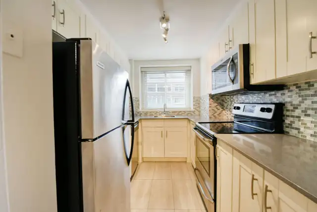 two bed two bath apartment downtown near McGill - ID 3067