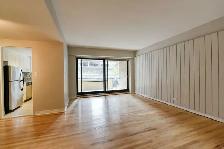 two bed two bath apartment downtown near McGill - ID 3067 - Photo 3