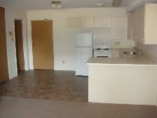 LARGE 1 BEDROOM - 1224 7TH AVE. N. (CITY PARK) - Photo 2