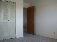 LARGE 2 BEDROOM - 3837 LUTHER PLACE (COLLEGE PARK) - Photo 5