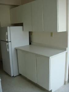 LARGE 1 BEDROOM - 505 CLARENCE AVE. S. (UNIVERSITY) - Photo 2