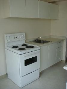 LARGE 1 BEDROOM - 505 CLARENCE AVE. S. (UNIVERSITY) - Photo 3