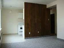 LARGE 1 BEDROOM - 505 CLARENCE AVE. S. (UNIVERSITY) - Photo 4