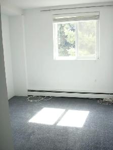 LARGE 1 BEDROOM - 1605 7TH STREET E. (HOLLISTON) - Photo 3