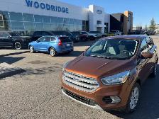 2017 Ford Escape SE 4WD 4dr SE