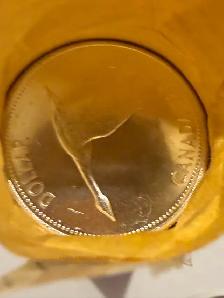 1967 CAN roll of (20)  Silver Dollar Coins  MS-64  Uncirculated - Photo 2