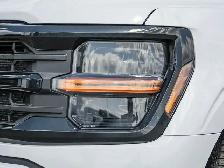 2026 Ford F-150 XLT - Photo 10