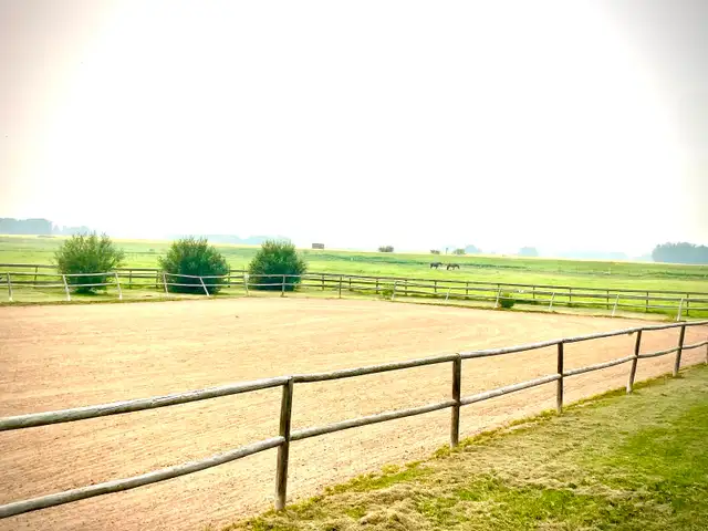 Horse Boarding — Outdoor Paddock & Pasture | Citrine Equine