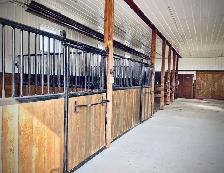 Horse Boarding — Outdoor Paddock & Pasture | Citrine Equine - Photo 3
