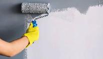 Painter and Handyman Available