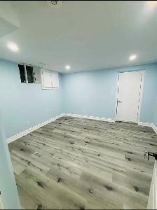 Beautiful basement for rent from Nov 1 2026