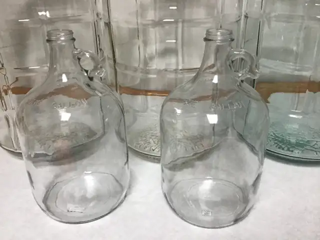 One Gallon Glass Carboy