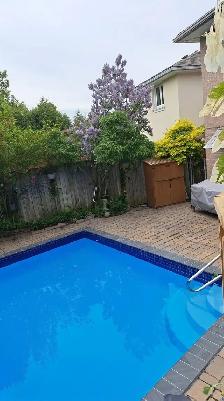 1-Bed Apartment, Utilities Incl, Pool Access, $1890 Scarborough - Photo 8
