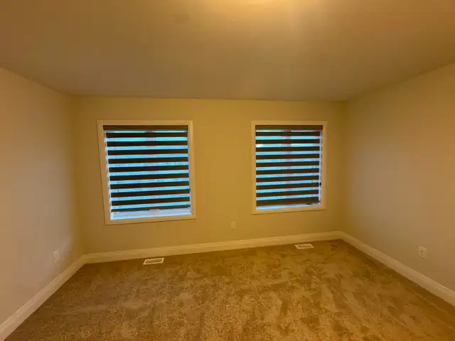 Transitional Zebra Shades – Soft Light Control