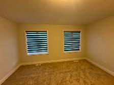 Transitional Zebra Shades – Soft Light Control