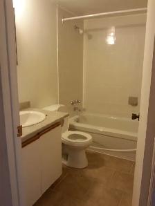 Logements à louer dans la Coopérative Futambule (Hochelaga) - Photo 5