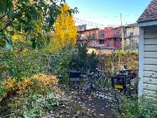 Logements à louer dans la Coopérative Futambule (Hochelaga) - Photo 11