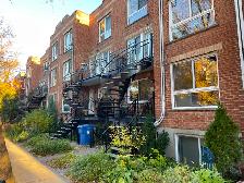 Logements à louer dans la Coopérative Futambule (Hochelaga) - Photo 12