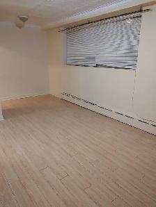 Large 1 bedroom apartment - Kennedy and Eglinton - Photo 6