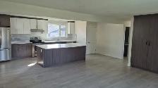 3 Bedroom Main Floor 52 St Se / 8 Ave Se - Photo 2