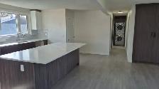3 Bedroom Main Floor 52 St Se / 8 Ave Se - Photo 8