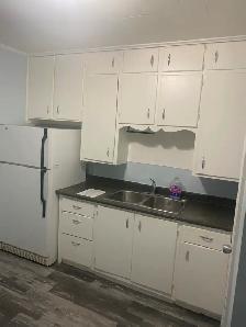 1 Bedroom Apartment - Owen Sound - Photo 2