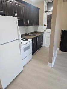 Nice, Bright 1 Bedroom Apartment - Photo 4