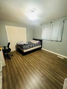 private room for rent in Mississauga heartland - Photo 2