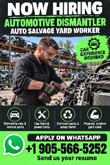 General Labor / Auto Yard Worker