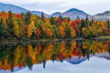 Fall Cleanups! - Photo 2