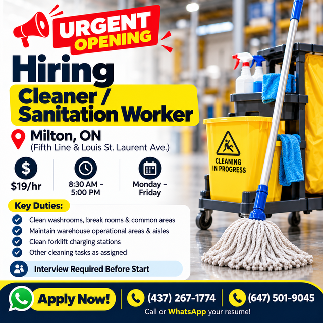 Cleaner/Janitor