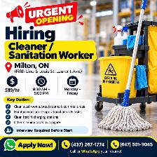 Cleaner/Janitor