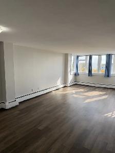 WELCOME TO THE TALISMAN – RENOVATED SPACIOUS TWO-BEDROOM APARTME - Photo 2