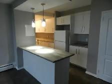 WELCOME TO THE TALISMAN – RENOVATED SPACIOUS TWO-BEDROOM APARTME - Photo 3