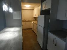 WELCOME TO THE TALISMAN – RENOVATED SPACIOUS TWO-BEDROOM APARTME - Photo 4