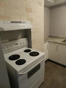 WELCOME TO THE TALISMAN – RENOVATED SPACIOUS TWO-BEDROOM APARTME - Photo 5