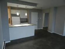 WELCOME TO THE TALISMAN – RENOVATED SPACIOUS TWO-BEDROOM APARTME - Photo 7