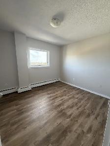 WELCOME TO THE TALISMAN – RENOVATED SPACIOUS TWO-BEDROOM APARTME - Photo 12