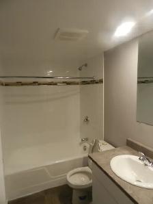WELCOME TO THE TALISMAN – RENOVATED SPACIOUS TWO-BEDROOM APARTME - Photo 13