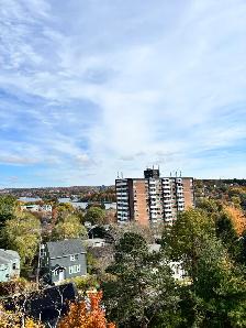 WELCOME TO THE TALISMAN – RENOVATED SPACIOUS TWO-BEDROOM APARTME - Photo 15