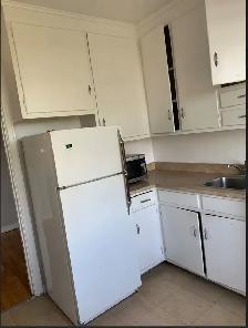 1 Bedroom - January - Rideau Canal Facing - Golden Triangle - Photo 4