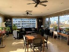 1 Bedroom - January - Rideau Canal Facing - Golden Triangle - Photo 12