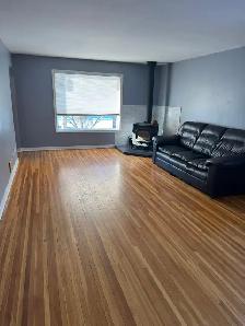 4 Bedroom   Den House with Garage - Photo 17