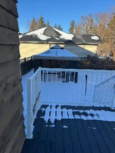 4 Bedroom   Den House with Garage - Photo 23