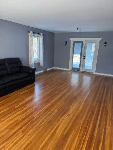 4 Bedroom   Den House with Garage - Photo 26