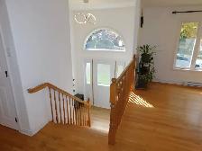 Beautiful Bedford 2bed/1bath APT/Heat-pump - VIDEO TOUR! - Photo 4