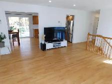 Beautiful Bedford 2bed/1bath APT/Heat-pump - VIDEO TOUR! - Photo 6