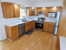 Beautiful Bedford 2bed/1bath APT/Heat-pump - VIDEO TOUR! - Photo 7