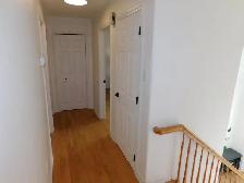 Beautiful Bedford 2bed/1bath APT/Heat-pump - VIDEO TOUR! - Photo 11